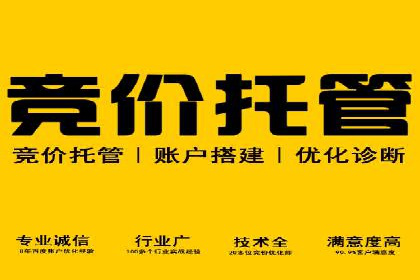 百度搜索推广案例集锦：实战技巧与策略解析